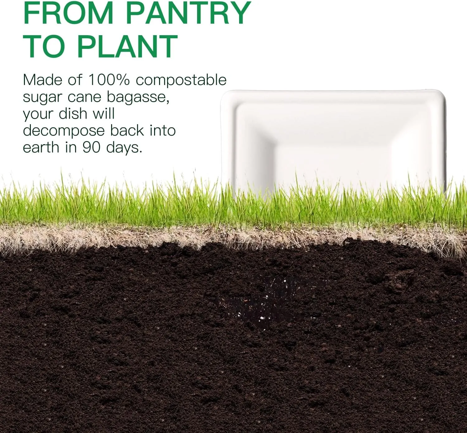 10-Inch Compostable Sugarcane PulpSquare Plates, 50-Pack, White, Extra Thick, Durable, Eco-Friendly, Microwave Safe