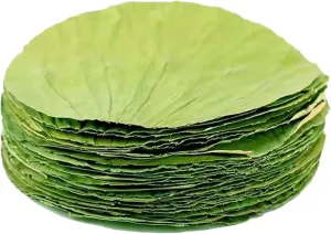 100PCS Dried Round Lotus Leaves with a Bamboo Tray Sushi Plate Decoration for Food Wrapping Party Decoration or Cooking Making (Lotus Leaf only)