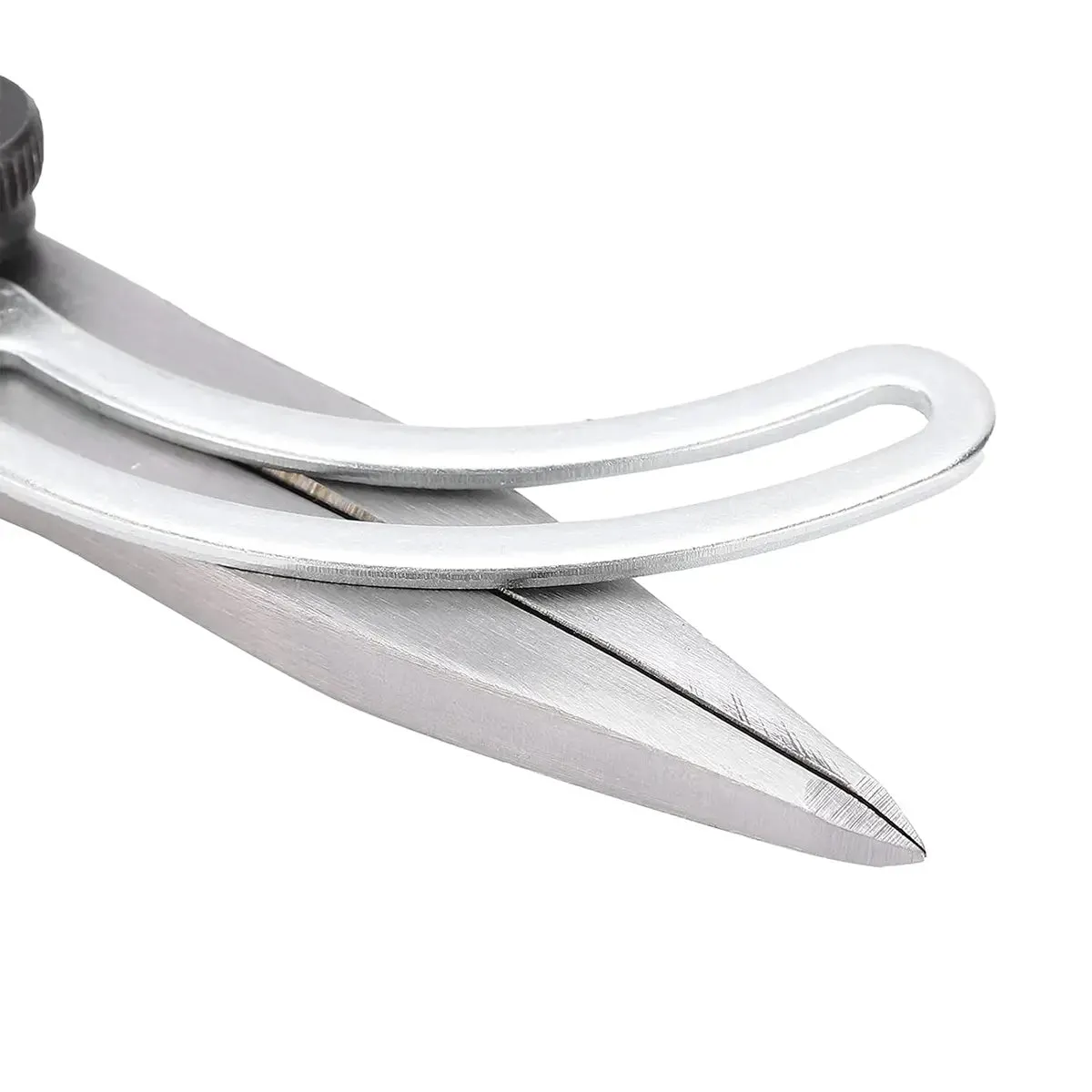 125mm Stainless Steel Wing Divider