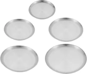 5 Pcs Stainless Steel Plate Set, Round Shallow Barbecue Plate Camping Tableware, for Outdoor Picnic Barbecue
