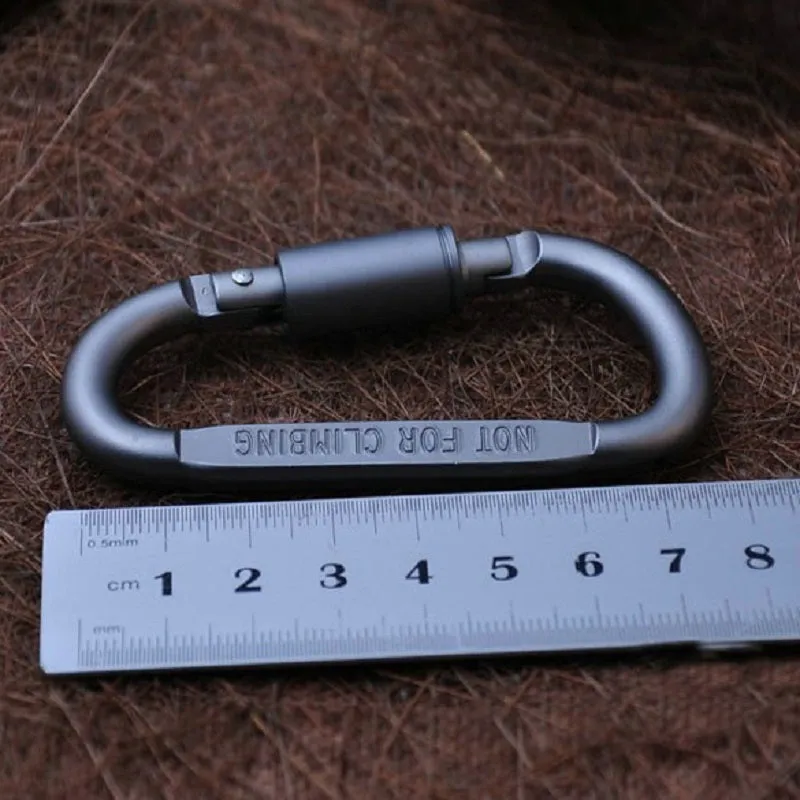 Aluminum Alloy D-Shaped Carabiner Lock