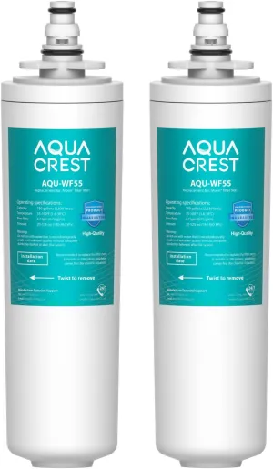AQUACREST 9601 Water Filter, Model No.AQU-WF55. Replacement for Moen 9601 ChoiceFlo 9600, 9602, 9500, 9501, 9502, Fits F87400, F7400, F87200, 77200, CAF87254, S5500 Series of Moen Faucets (Pack of 2)