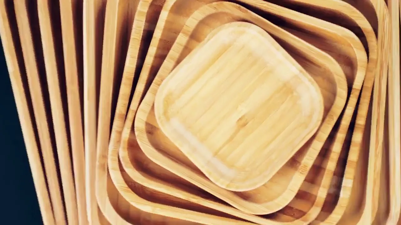 Bamboo Round Plate 5" | For Appetizers