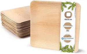 BIOZOYG Disposable Plates 25 Pack 6 Inch Square Palm Leaf Plates - Tableware Compostable Disposable - Alternative to Bamboo Plates - Party Tableware