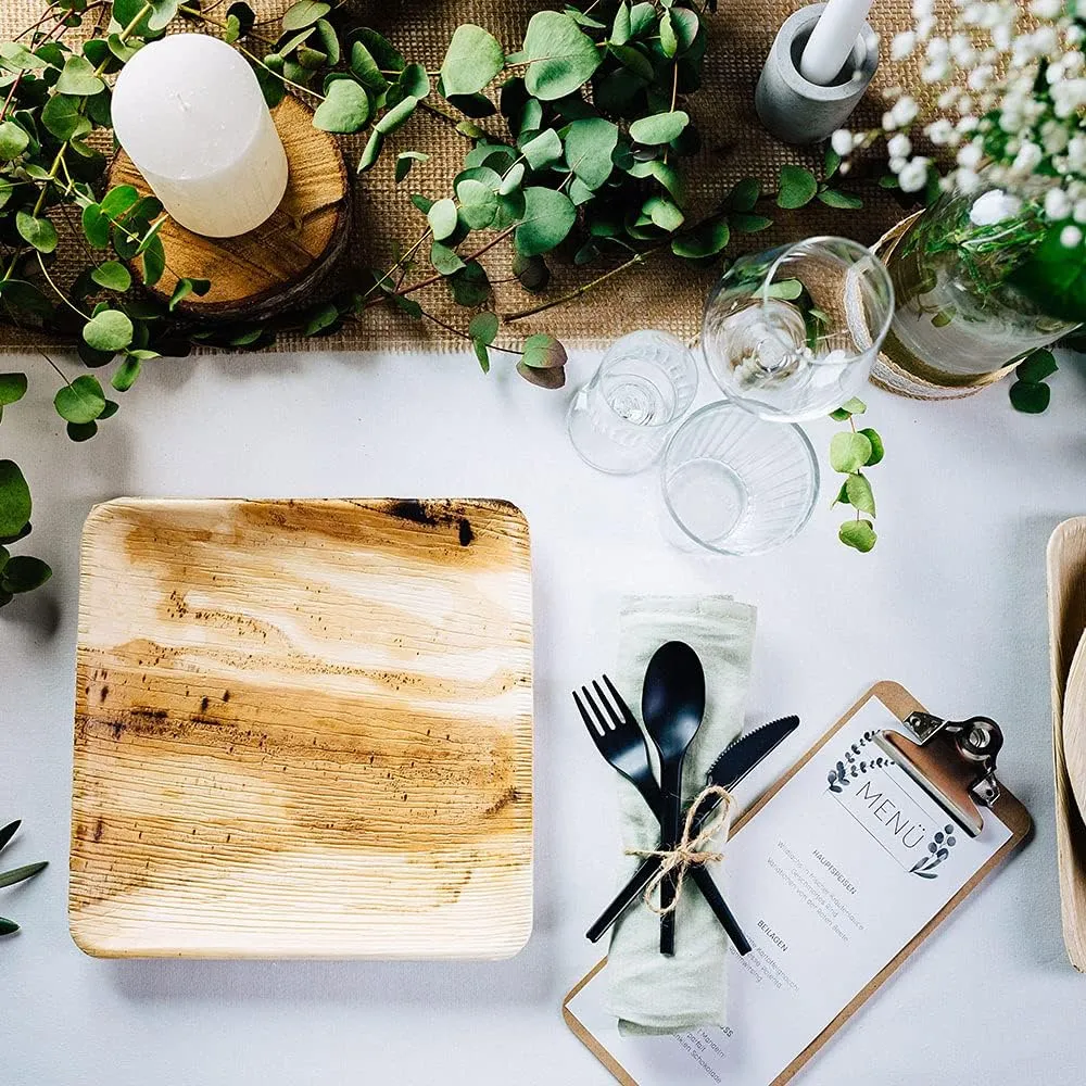 BIOZOYG Disposable Plates 25 Pack 6 Inch Square Palm Leaf Plates - Tableware Compostable Disposable - Alternative to Bamboo Plates - Party Tableware