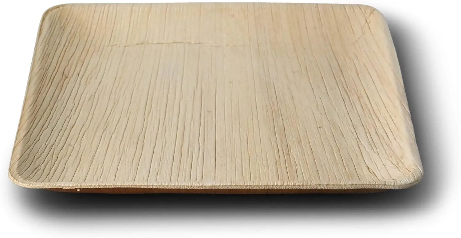 BIOZOYG Disposable Plates 25 Pack 6 Inch Square Palm Leaf Plates - Tableware Compostable Disposable - Alternative to Bamboo Plates - Party Tableware