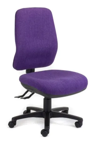 Bodyline Plus High Back Task Chair