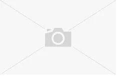 Churchill Bamboo White Walled Plate 210mm (6 Pack)