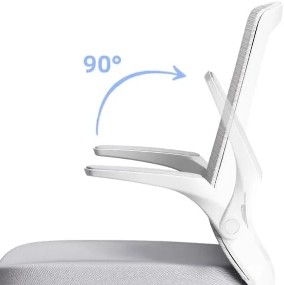 Classic Executive Office Chair with Adjustable Armrests and Metal Sled Base High Back Mesh Desk Chair for Adult Working Study Desk Task Chair(Gris)