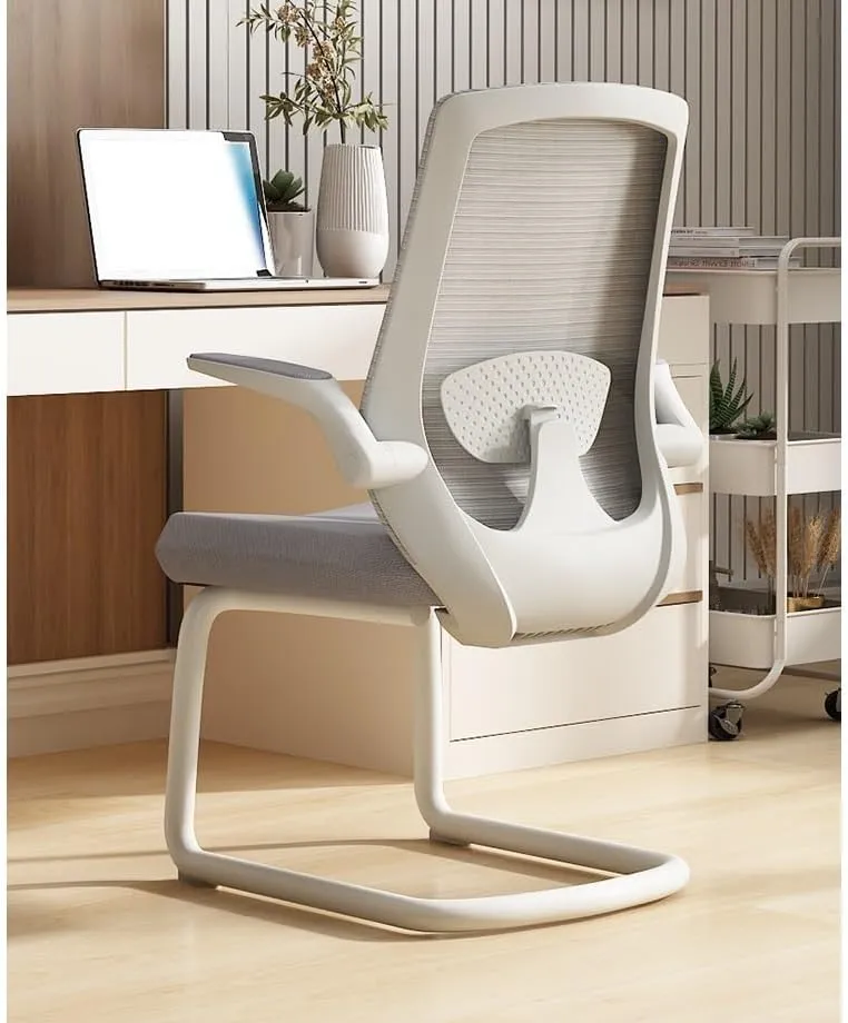 Classic Executive Office Chair with Adjustable Armrests and Metal Sled Base High Back Mesh Desk Chair for Adult Working Study Desk Task Chair(Gris)