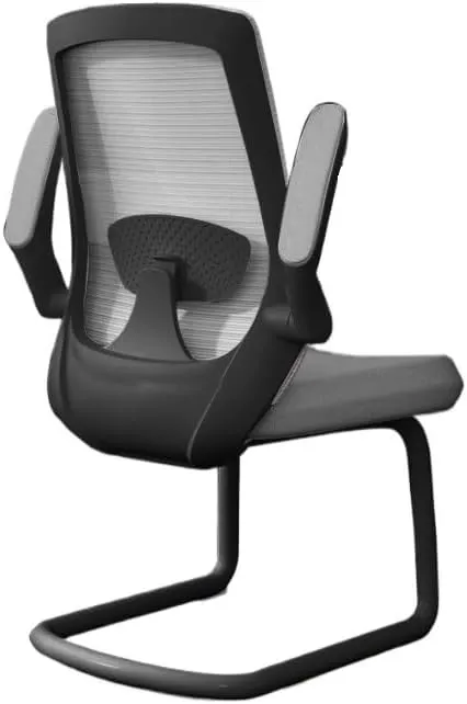 Classic Executive Office Chair with Adjustable Armrests and Metal Sled Base High Back Mesh Desk Chair for Adult Working Study Desk Task Chair(Gris)
