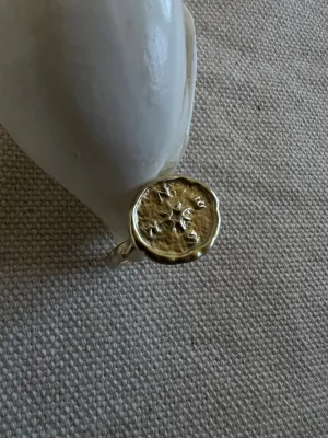 Compass ring Gold