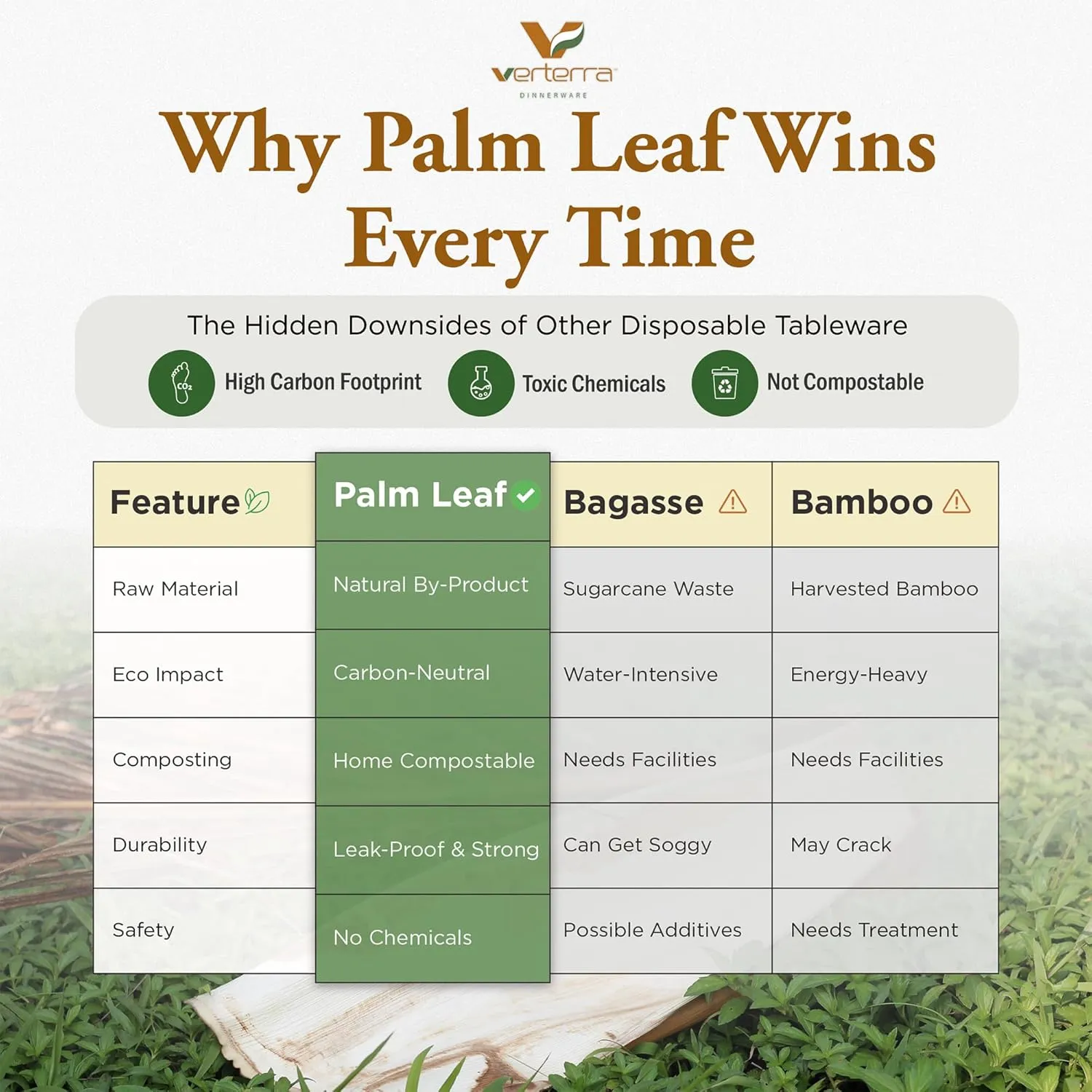 Compostable 10″ Square Palm Leaf Dinner & Appetizer Plates (50-Pack) | Bamboo-Look, All-Natural, Eco-Friendly, Biodegradable, Heavy-Duty Disposable Tableware for Weddings, Parties & Catering