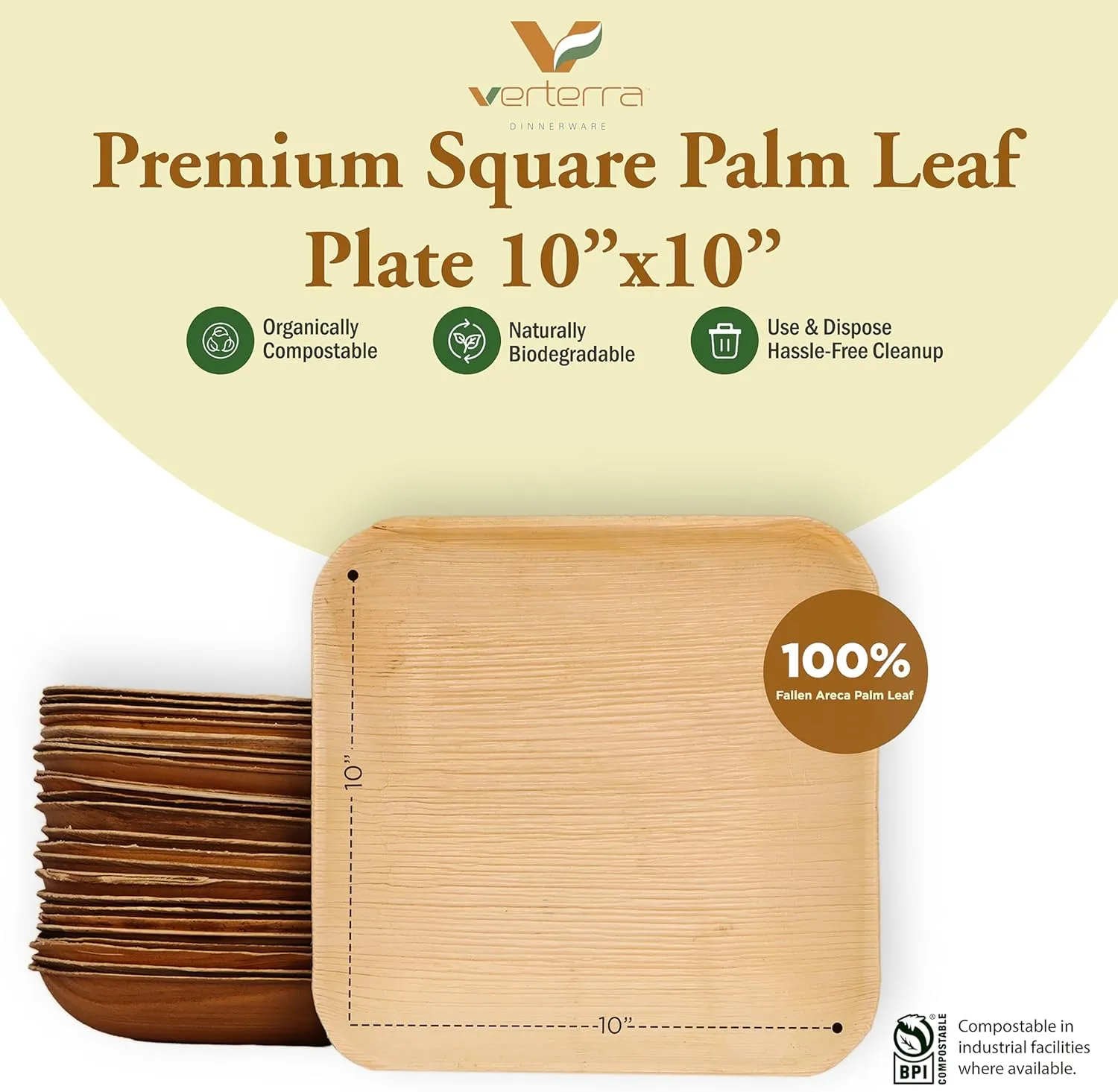 Compostable 10″ Square Palm Leaf Dinner & Appetizer Plates (50-Pack) | Bamboo-Look, All-Natural, Eco-Friendly, Biodegradable, Heavy-Duty Disposable Tableware for Weddings, Parties & Catering