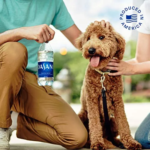 DASANI, 16.9 fl oz, 6 Pack