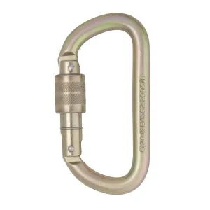 DMM 10mm Steel Equal D Screw Gate Carabiner 30kN