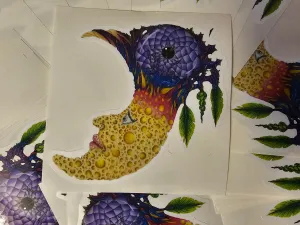 Dream Catcher Moon Sticker