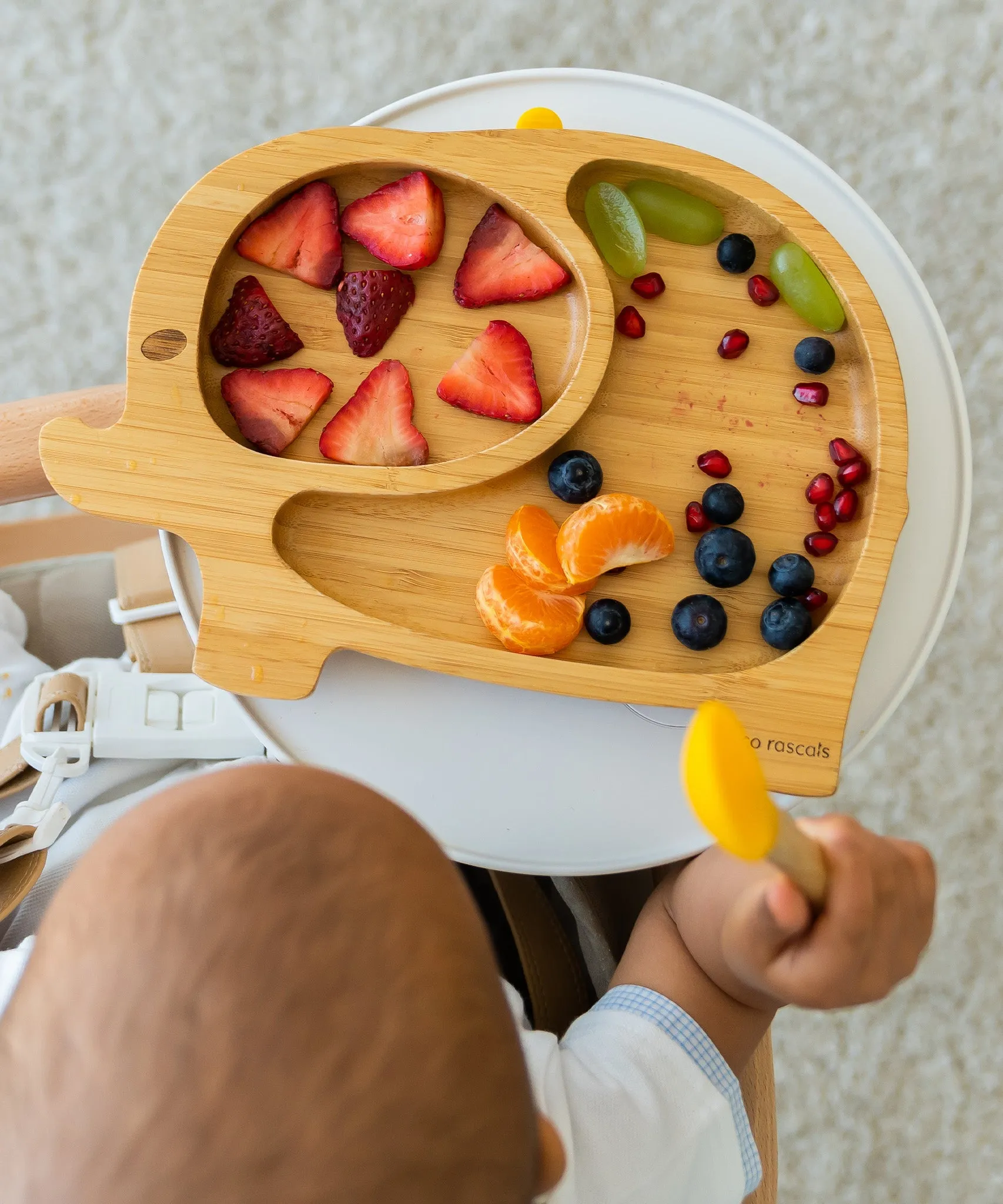 Eco Rascals Elephant Plate Gift Set