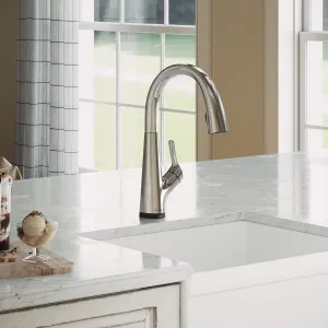 Elkay Avado Single Hole 2-in-1 Kitchen Faucet with Filtered Drinking Water