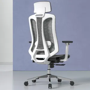 Ergonomic Office Chair, High Back Mesh Desk Chair - Adjustable Lumbar Support & 3D Armrests, Swivel Computer Chair with Headrest, Tilt Lock & PU Wheels for Home Office, Long Hours Work