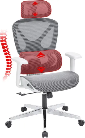 Ergonomic Office Chair, Mesh Chair with Tilt Function and Lumbar Support, 3D Headrest, 3D Armrests, 3-Position Locking Mechanism, Big and Tall Office Chair for Home Office (Gray)