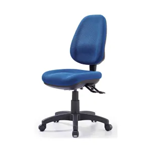 Express P350 High Back