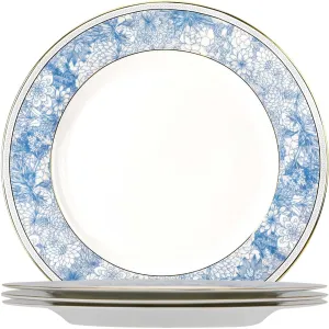 Fine Bone China Dinner Plates Sets,4 Pcs 10.5 inch Electrooptic Pattern Plate Gilt Edged High Grade Dinnerware Sets For 4 People Suitable for Dining Party or Gift,Comes with Gift Box