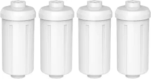Fluoride Water Filter, Replacement for Berkey® PF-2® Fluoride Filter, Berkey® Gravity Filtration, Pack of 4