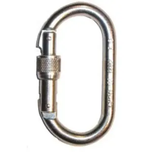 Foin Oval Steel Carabiner - Screwgate