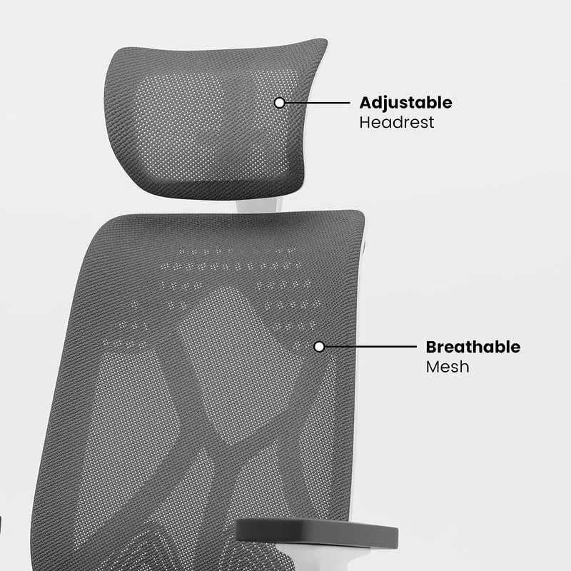 High Back Director Office Chair with Chrome Base