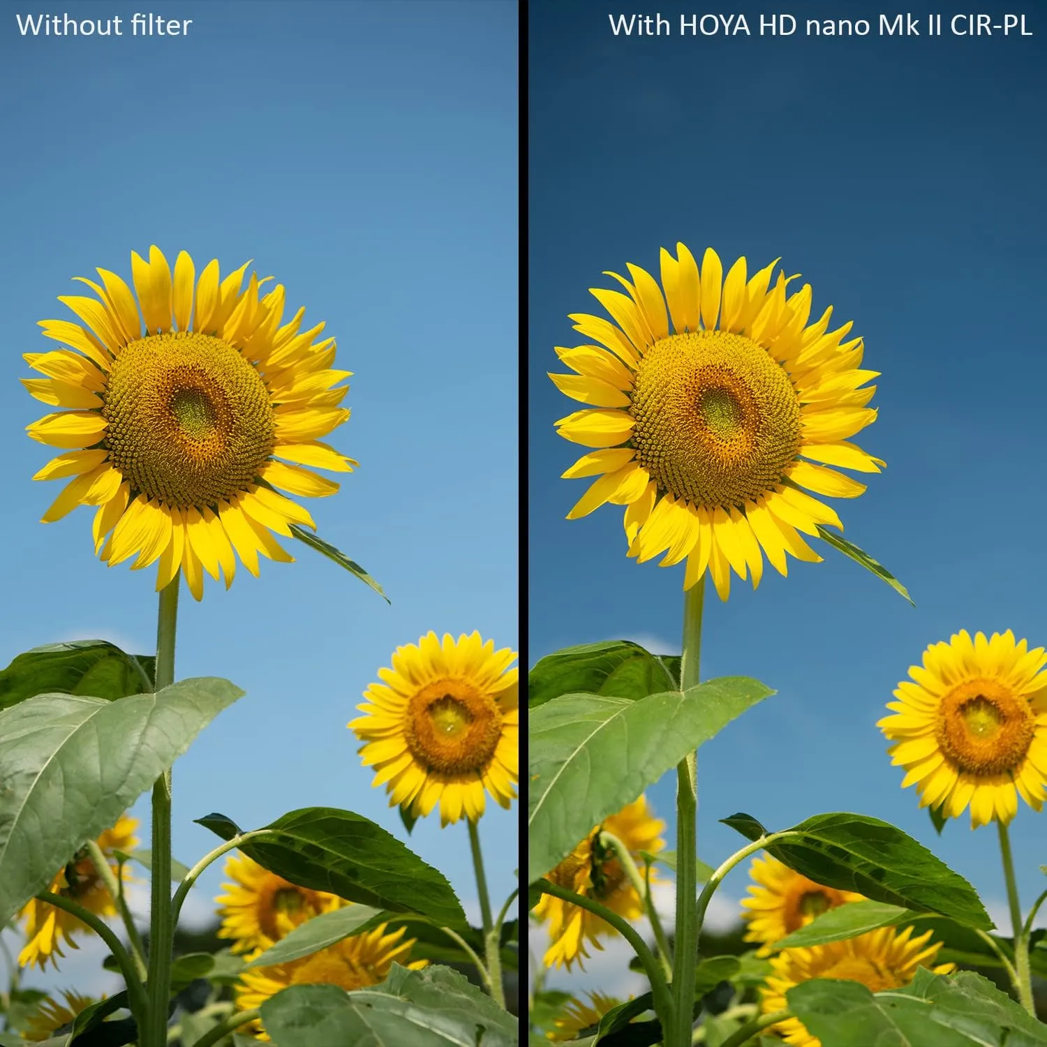 HOYA Circular Polarizing Filter HD Nano MkII ø77mm