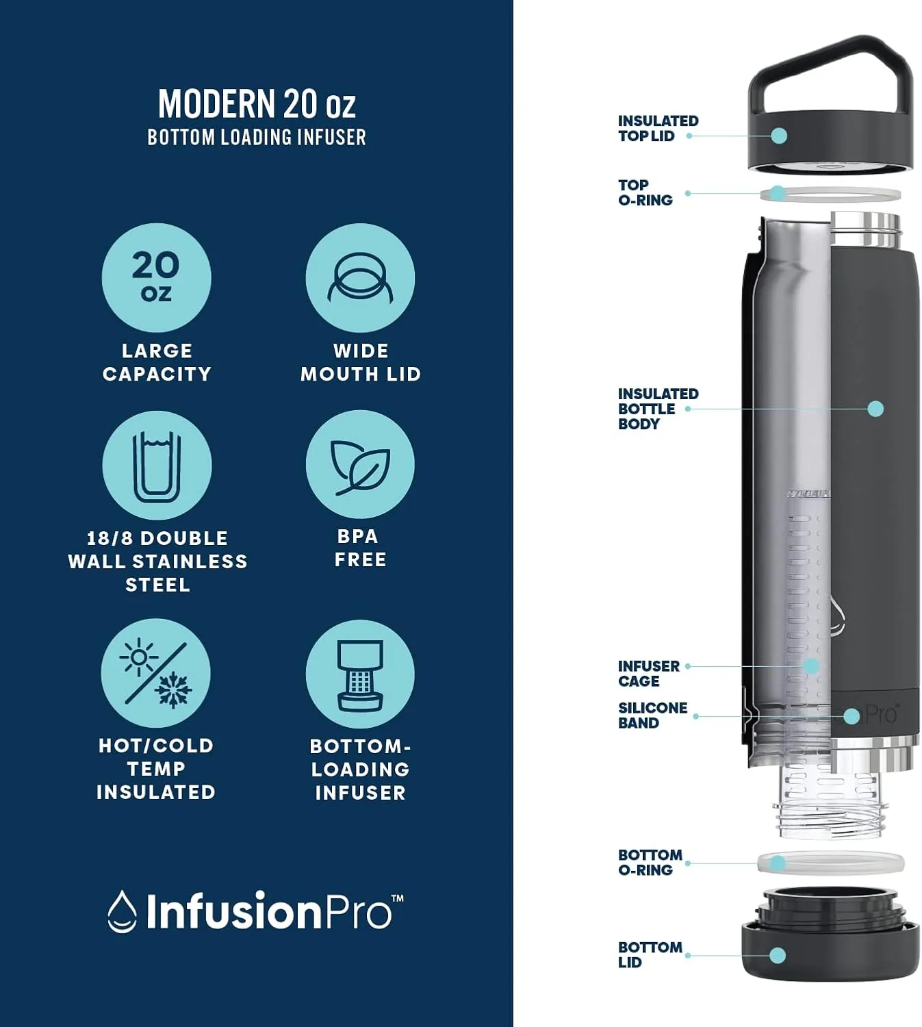 Infusion Pro Fruit Infuser Water Bottle - Vacuum Insulated (20 oz) Stainless Steel : Fruit Infusion Recipe eBook : Bottom Loading for More Flavor : Easy Cleaning : Great Gift