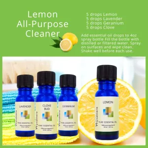 Lemon All Purpose Cleaner Bundle