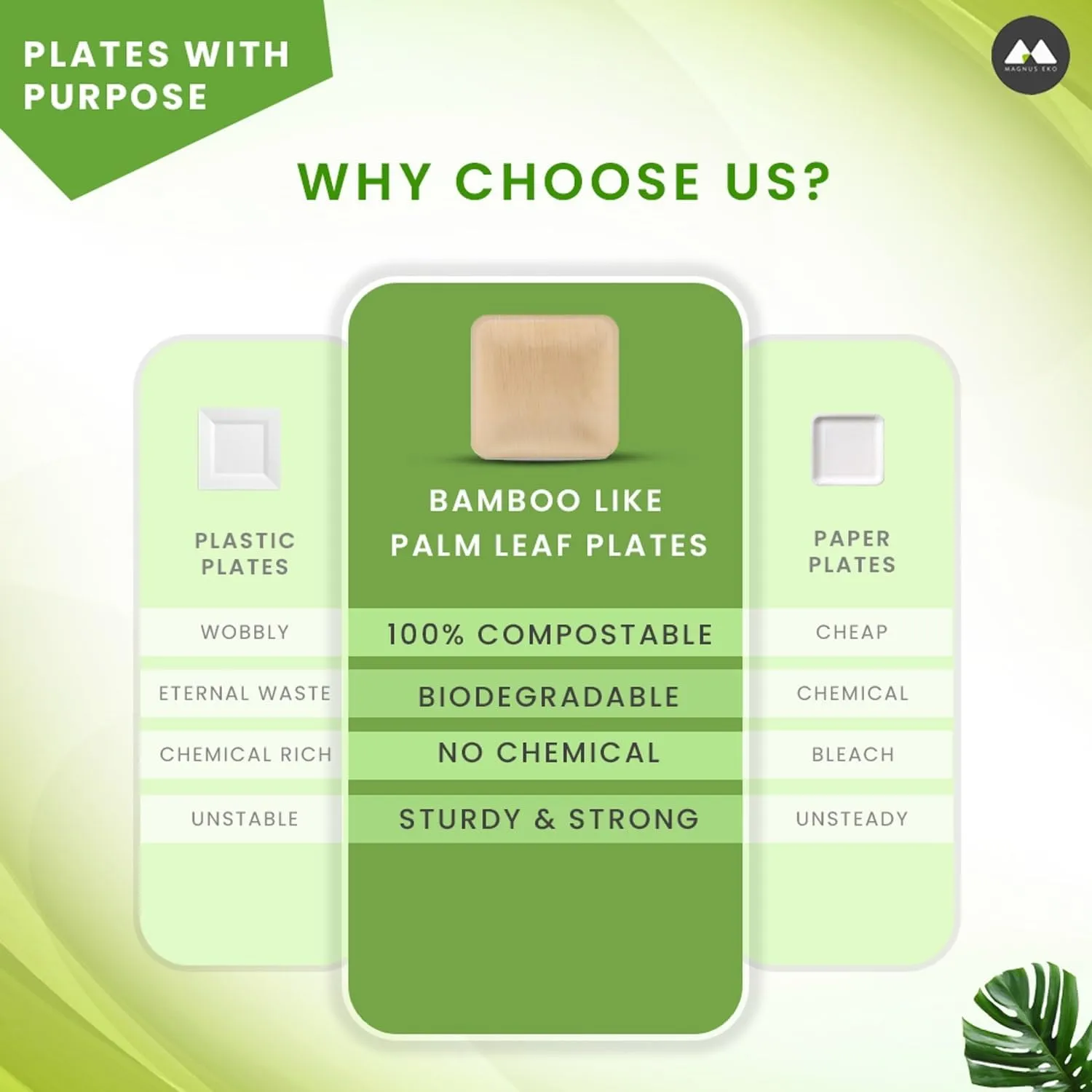 magnus EKO | 6 Inch Square Plates 100 Pcs | Disposable Plates For Party | Eco Friendly, Compostable and Biodegradable serving plates for Catering, Weddings and Parties