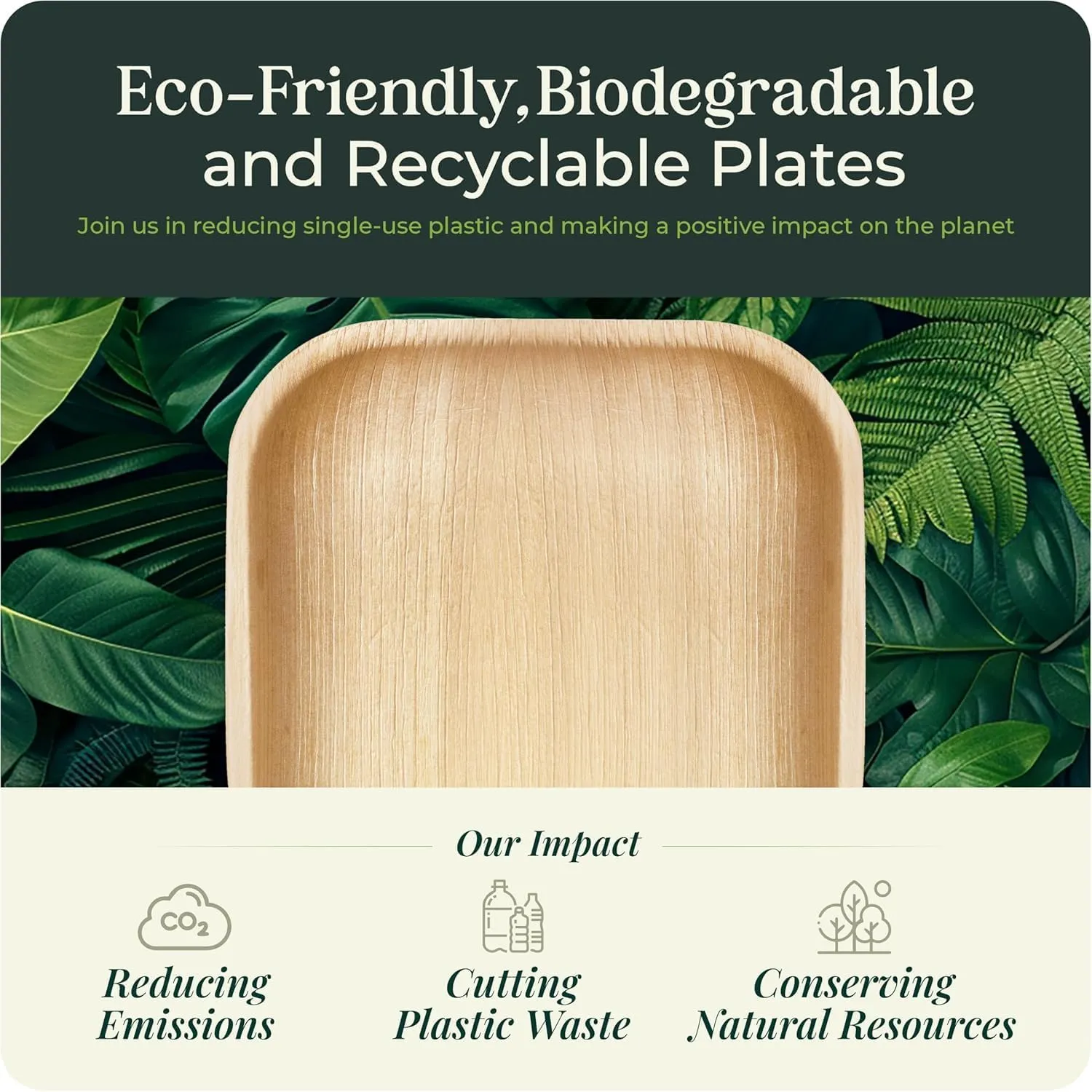 Palm Leaf Plate 10 Inch Bamboo Paper Plates Disposable 25 Dinner Square Party Plate Event Tableware Eco Biodegradable Compostable Wooden Best Alternative to Plastic, By KoalaLove