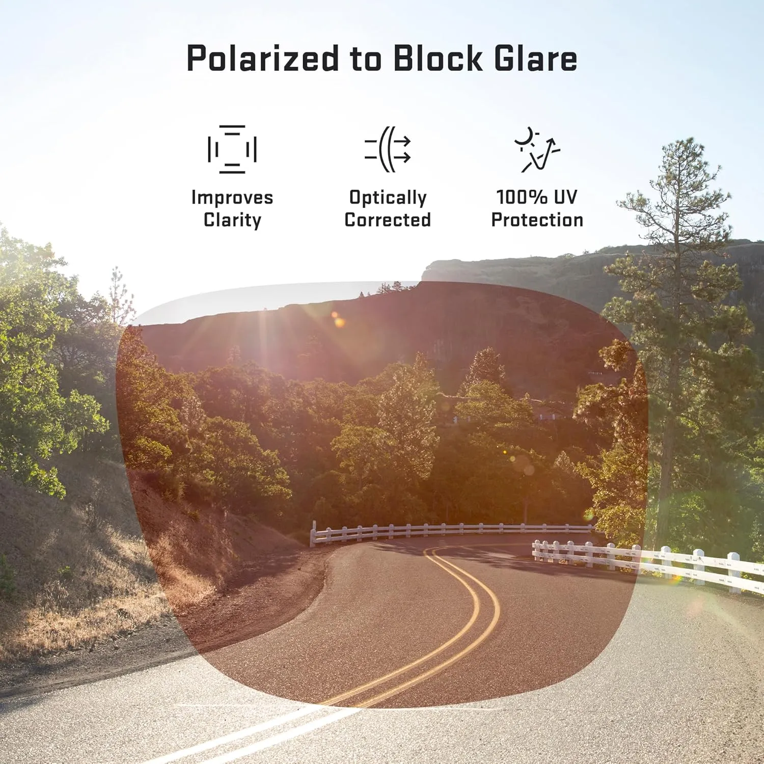 Revant Replacement Lenses for Wiley X Compass