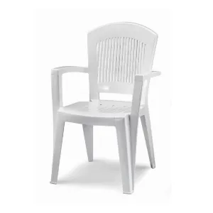 Set of 2 Super Elegant High Back Resin Armchairs