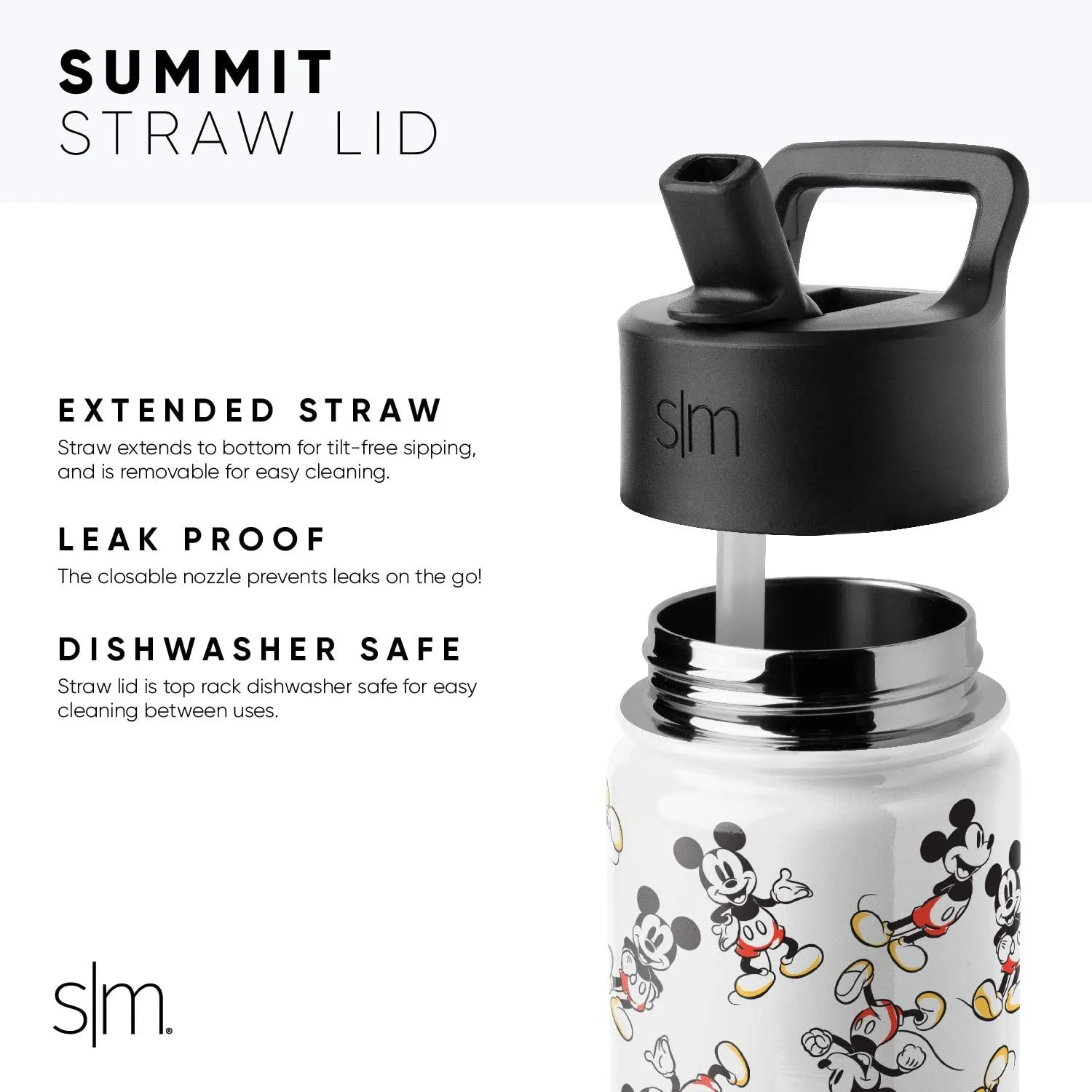 Simple Modern Kids Summit Water Bottle with Straw Lid | Disney Wish 18oz Stainless Steel Cup Insulated Tumbler for Girls, School | Asha's Adventure