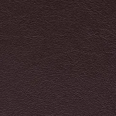 Steelcase Gesture 442 Stool Chair - Mahogany Steelcase Leather, Shell Back, Light on Dark Frame, Wheels for Hard Flooring
