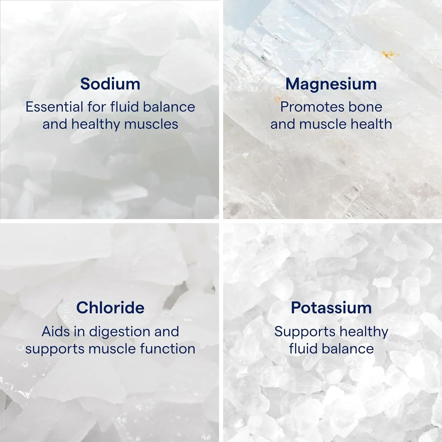 Trace Minerals ConcenTrace Drops | Full Spectrum Minerals | Ionic Liquid Magnesium, Chloride, Potassium | Low Sodium | Energy, Electrolytes, Hydration | 288 Day Supply, 8 fl oz (Pack of 3)