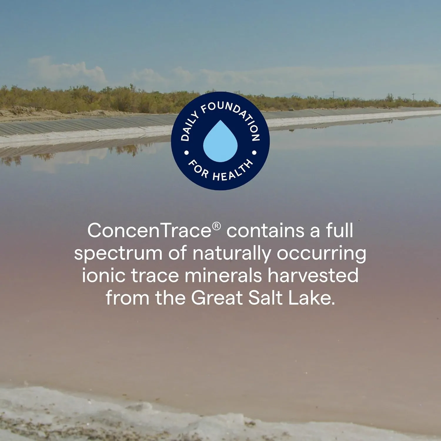 Trace Minerals ConcenTrace Drops | Full Spectrum Minerals | Ionic Liquid Magnesium, Chloride, Potassium | Low Sodium | Energy, Electrolytes, Hydration | 288 Day Supply, 8 fl oz (Pack of 3)