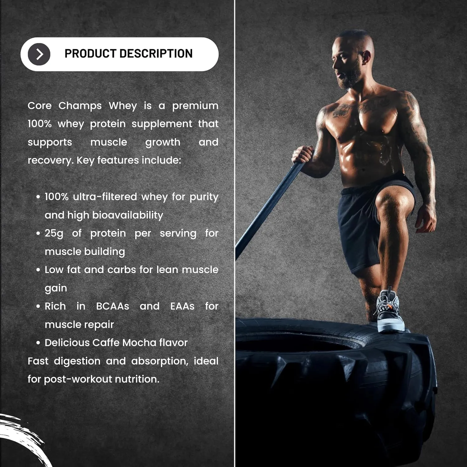 Whey Protein Powder | 100% Ultra Filtered Whey | 25g Protein   All Essential Amino Acids | for Strength & Lean Muscle | 2 Pounds (Rich Chocolate)